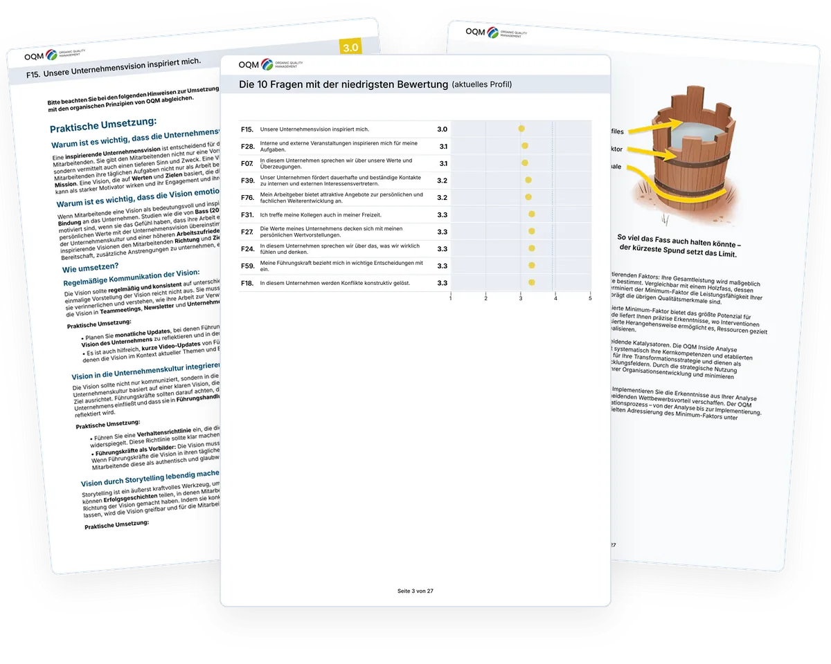 Seiten aus dem Muster-Action-Guide: die zehn Fragen mit der niedrigsten Bewertung, das Fass-Prinzip und eine Seite mit Maßnahmen