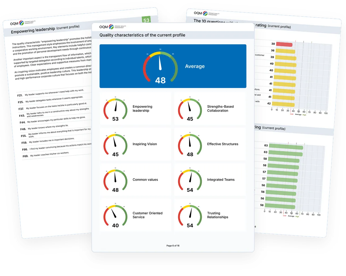 Pages from the sample profile: gauges for the eight factors, a factor page and the ten lowest-rated questions